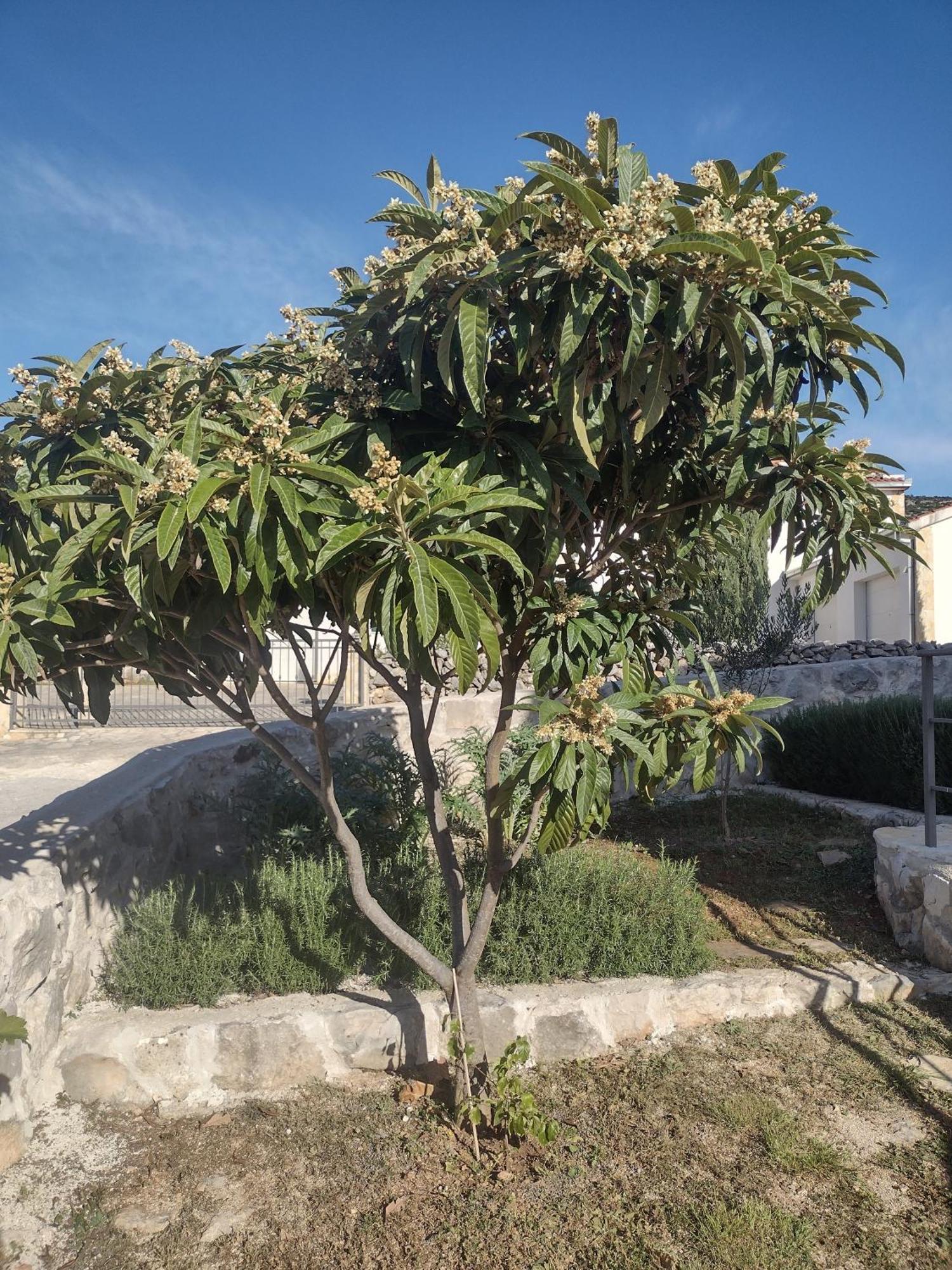 מרינה Apartment Olea מראה חיצוני תמונה
