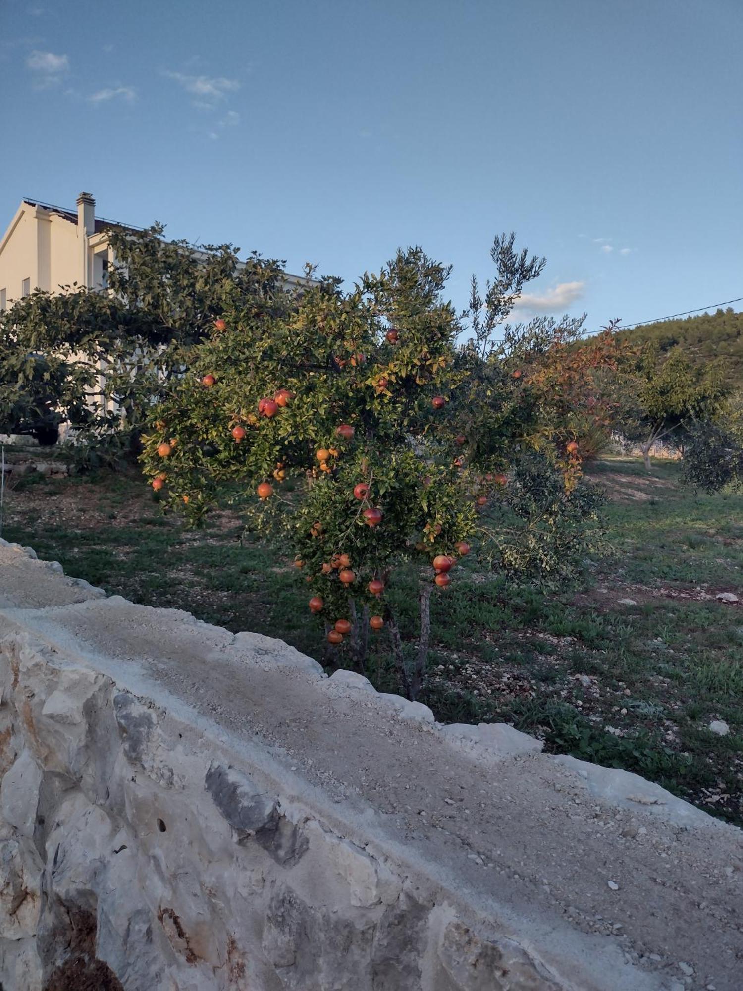 מרינה Apartment Olea מראה חיצוני תמונה